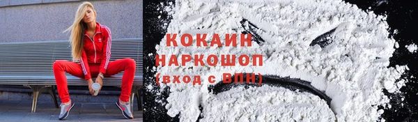 соль ск Нея