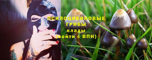 соль ск Нея