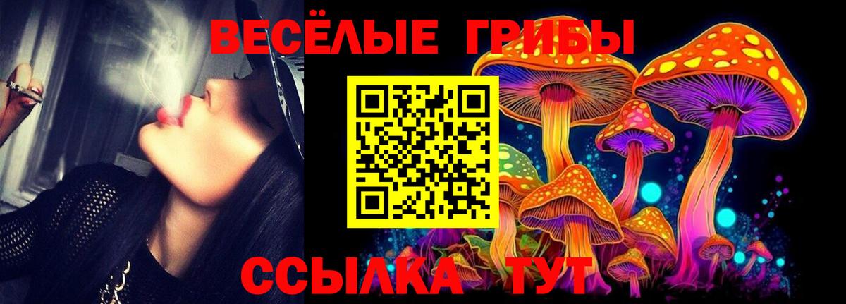Тосно  Псилоцибиновые грибы ЛСД  Вход с VPN  Галлюциногенные грибы MAGIC MUSHROOMS 