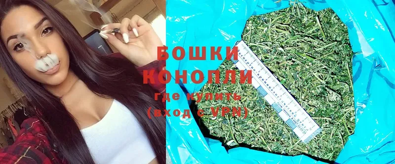 Шишки марихуана OG Kush  где продают наркотики  Тосно 