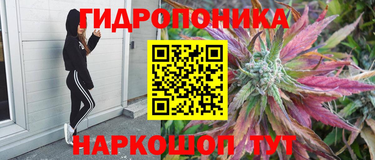 Каннабис планчик Тосно